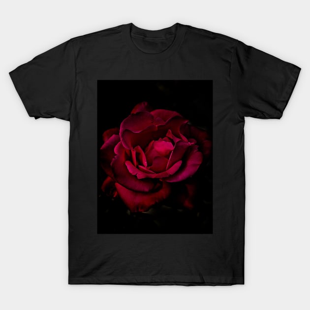 Red Rose T-Shirt by RobertsArt